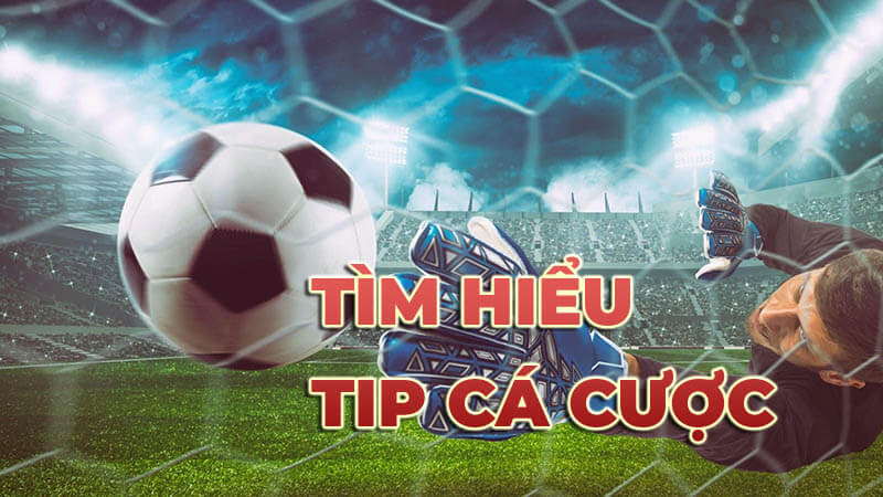 Tip cá cược là thế nào