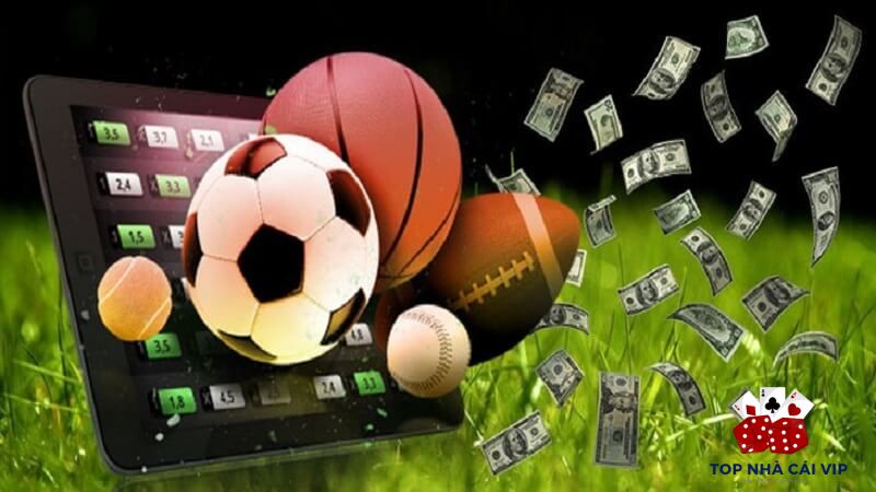 Top Nhà Cái Vip | Về chúng tôi 1 giới thiệu top nhà cái vip