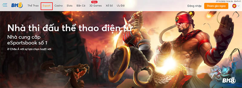 Cá cược Esport