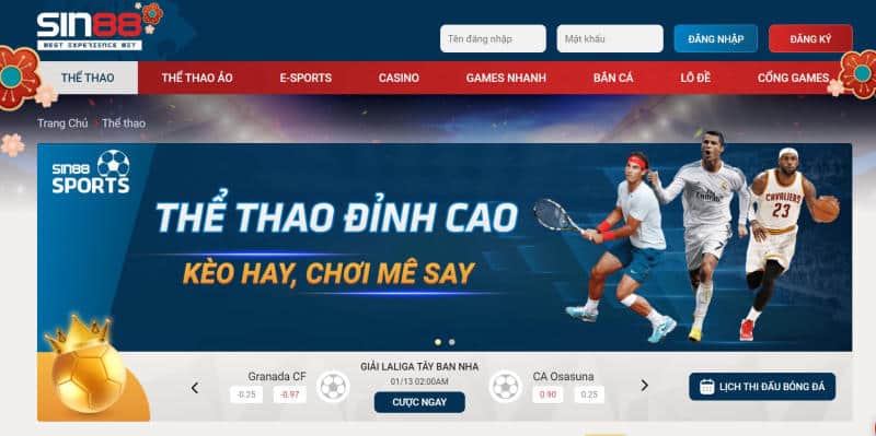 Thông tin Sin88 lừa đảo